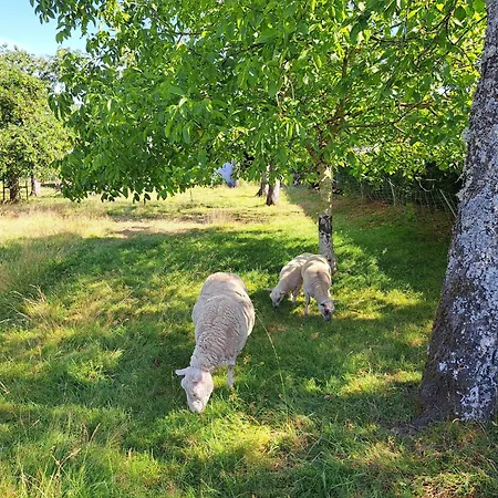 펜션 House Near Vosges Park And La Petite Pierre *